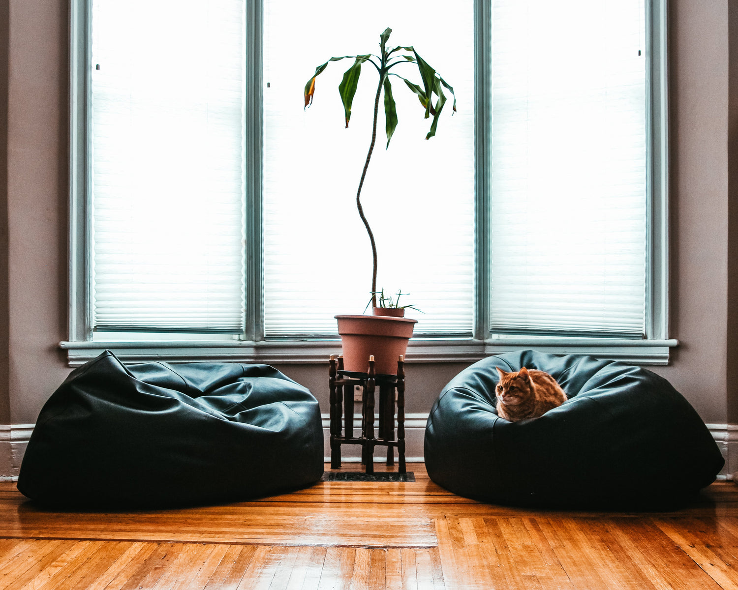 Home Improvement And Decor